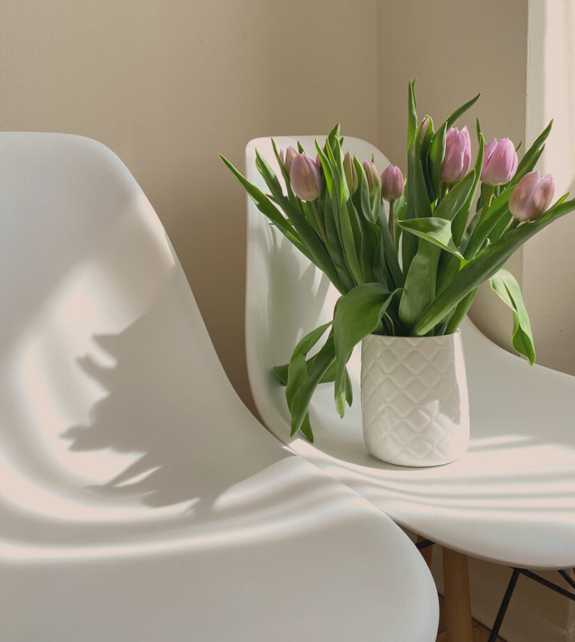 Amazing,Flowers,In,The,Sunlight